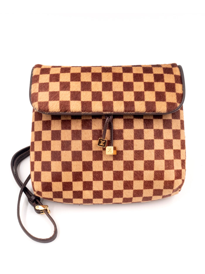 Damier Sauvage Gazelle Crossbody Bag