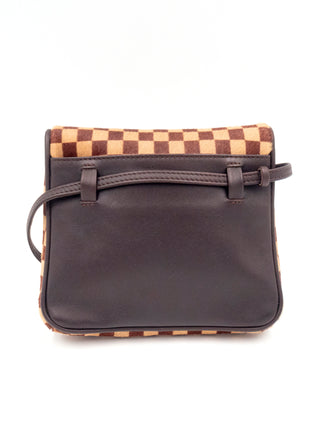Damier Sauvage Gazelle Crossbody Bag