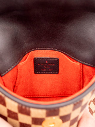 Damier Sauvage Gazelle Crossbody Bag