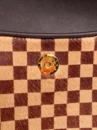 Damier Sauvage Gazelle Crossbody Bag