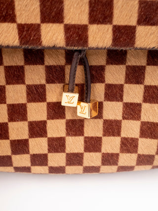 Damier Sauvage Gazelle Crossbody Bag