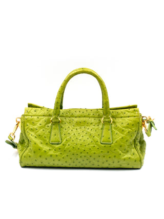 Lime Green Ostrich Handbag