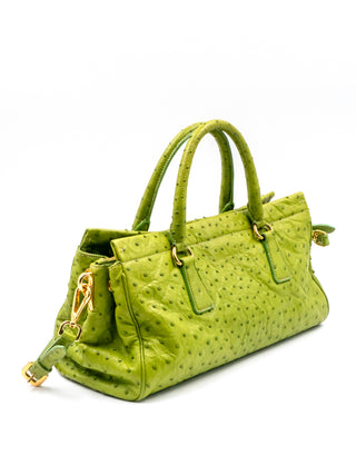 Lime Green Ostrich Handbag