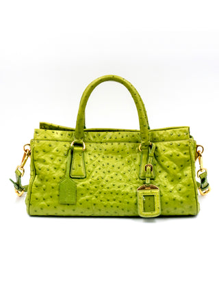 Lime Green Ostrich Handbag