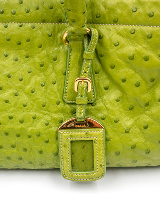 Lime Green Ostrich Handbag