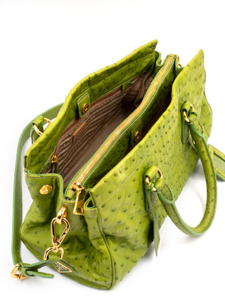 Lime Green Ostrich Handbag