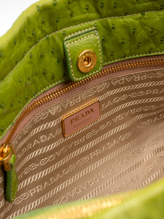 Lime Green Ostrich Handbag