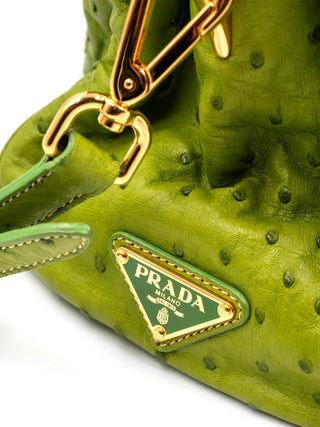 Lime Green Ostrich Handbag