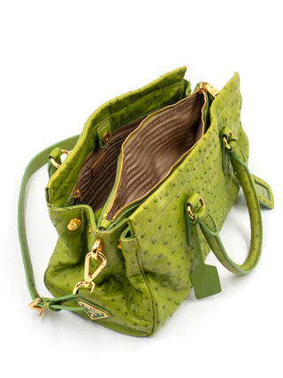 Lime Green Ostrich Handbag