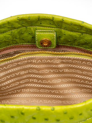 Lime Green Ostrich Handbag