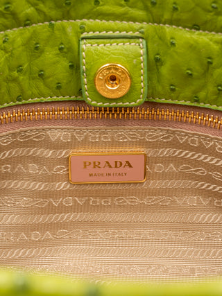 Lime Green Ostrich Handbag