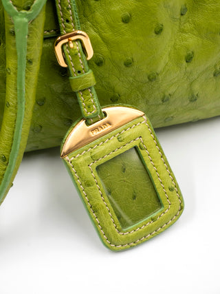 Lime Green Ostrich Handbag