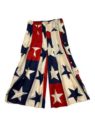 Multicolor Star Pattern Pleated Culottes