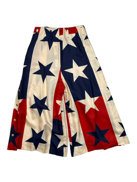 Multicolor Star Pattern Pleated Culottes