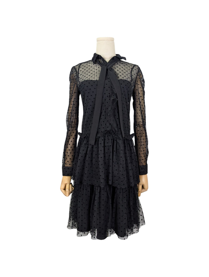 Black One-Piece Polka Dots Meshed Dress With Underlying