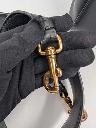 Lady D-Lite 2018 Wheel Of Fortune Medium Bag