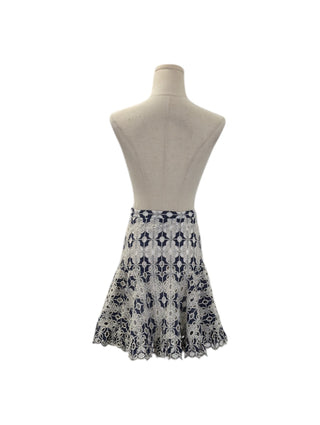 Navy And White Embroidered Skirt
