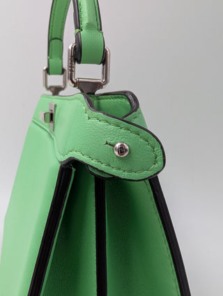 Mint Green Peekaboo Iseeu Bag