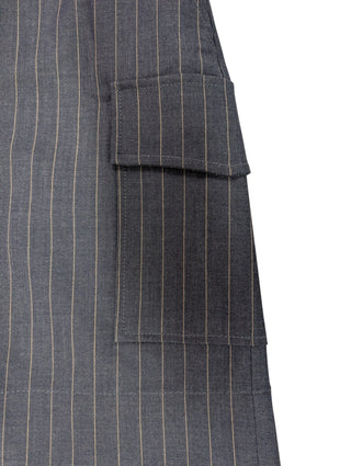 Pin Striped Blue Shorts