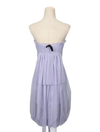 Purple Mesh Dress