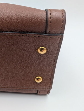 Brown Diana Tote Bag With Bamboo Handle