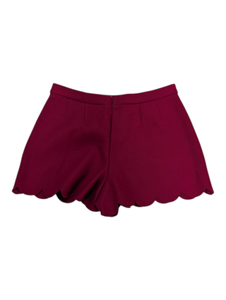 Burgundy Wool Shorts